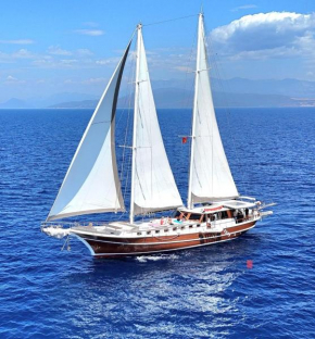 Your accommodation in Kotor bays